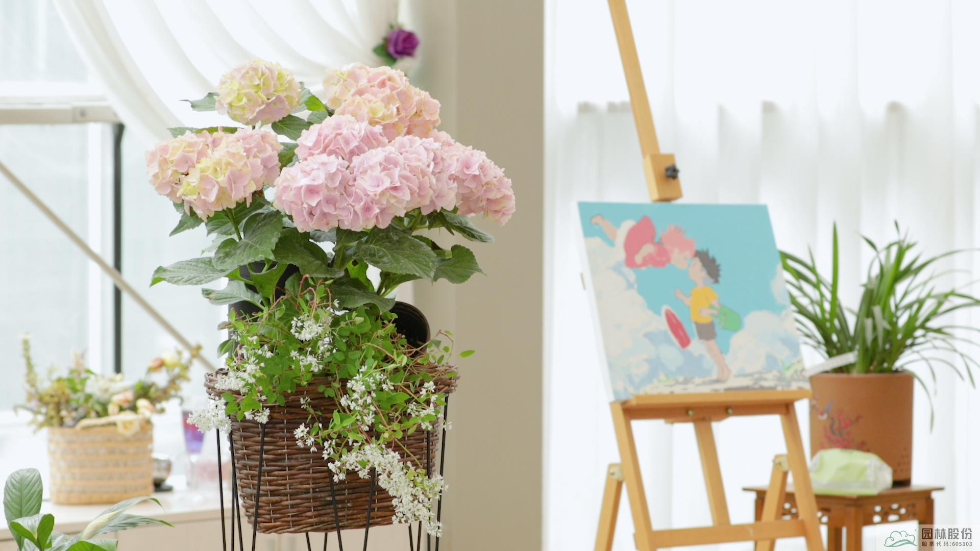 彩运网(中国游)官方网站