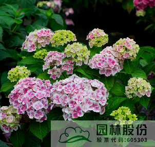 彩运网(中国游)官方网站