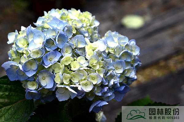 彩运网(中国游)官方网站