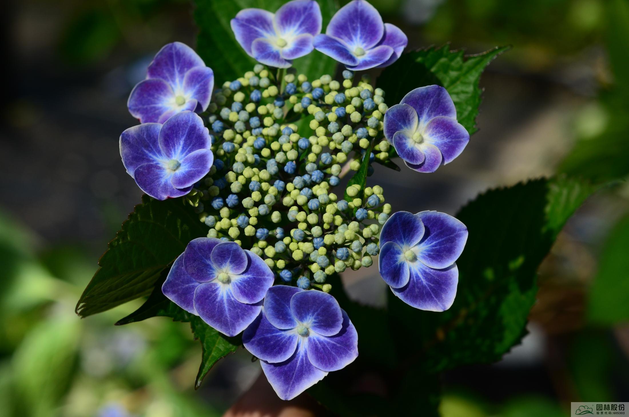 彩运网(中国游)官方网站