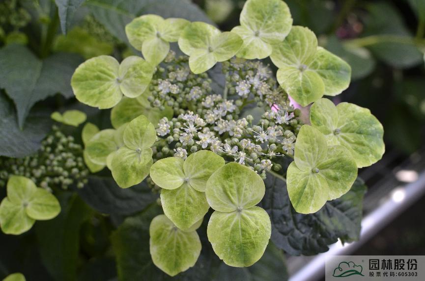 彩运网(中国游)官方网站