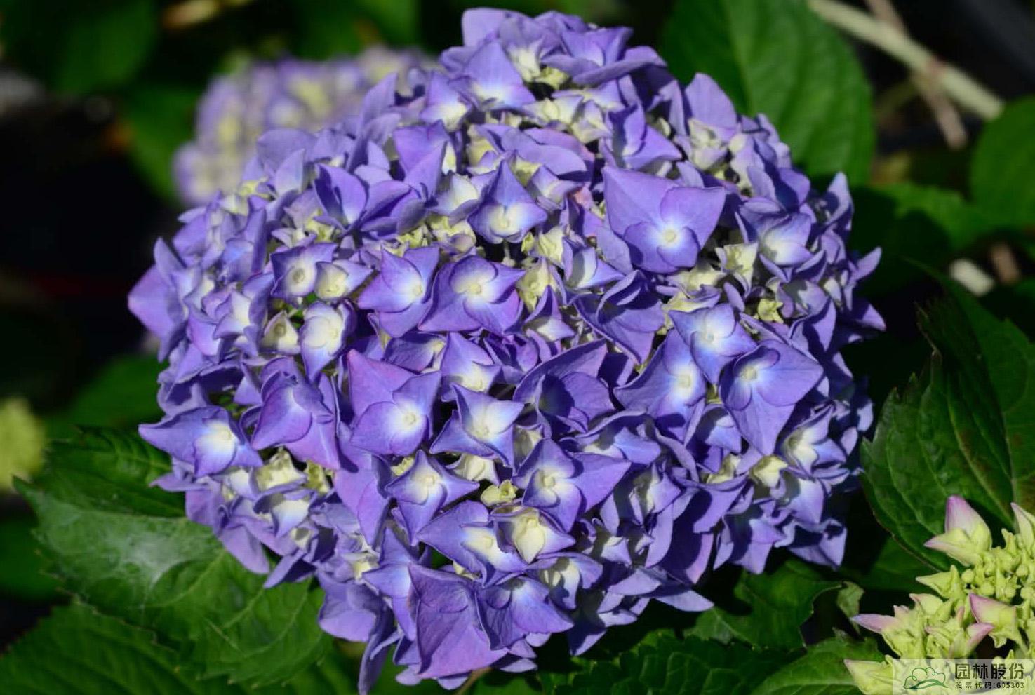 彩运网(中国游)官方网站