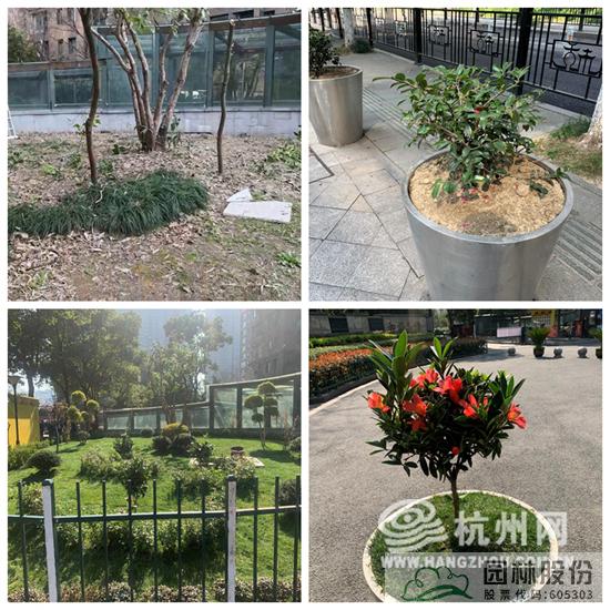 彩运网(中国游)官方网站