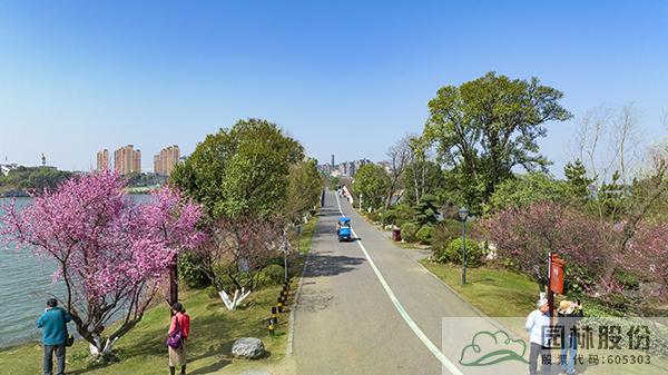 彩运网(中国游)官方网站