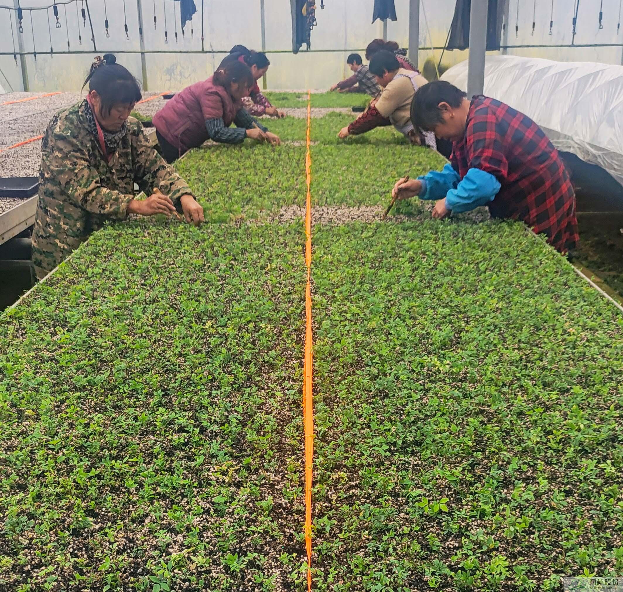 彩运网(中国游)官方网站