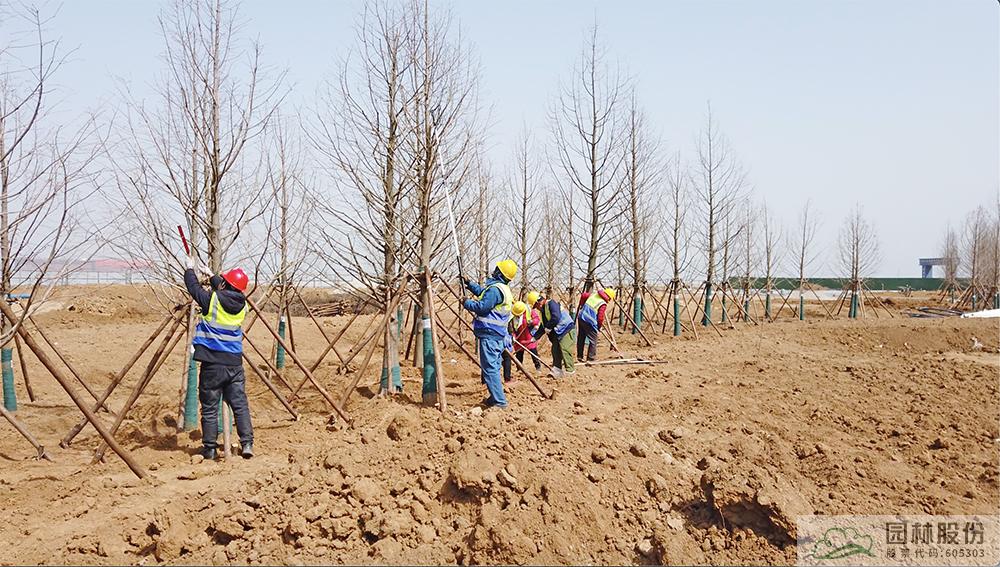 彩运网(中国游)官方网站