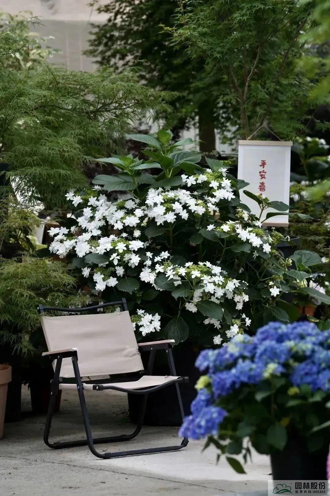 彩运网(中国游)官方网站