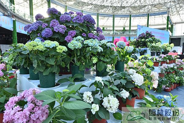 彩运网(中国游)官方网站