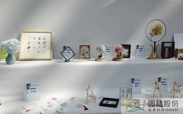 彩运网(中国游)官方网站