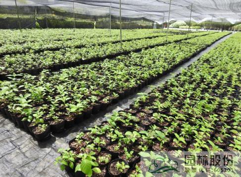 彩运网(中国游)官方网站