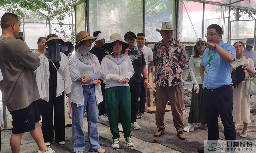 彩运网(中国游)官方网站