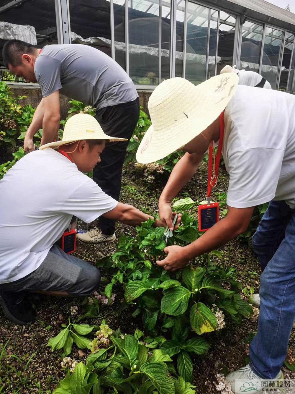 彩运网(中国游)官方网站