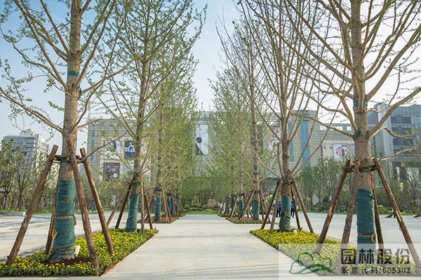 彩运网(中国游)官方网站