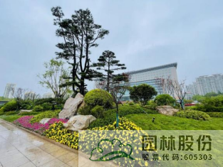 彩运网(中国游)官方网站