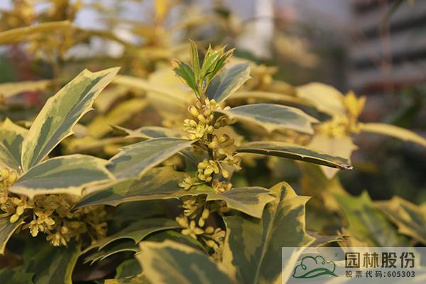 彩运网(中国游)官方网站