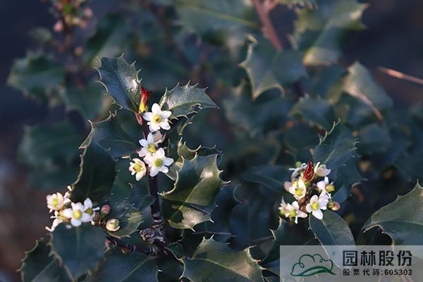 彩运网(中国游)官方网站