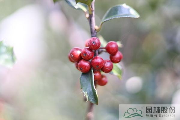 彩运网(中国游)官方网站
