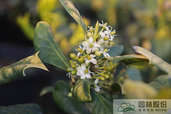 彩运网(中国游)官方网站