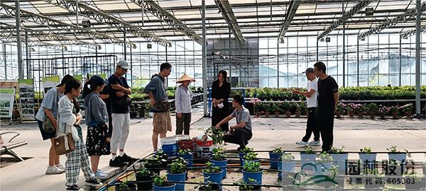 彩运网(中国游)官方网站