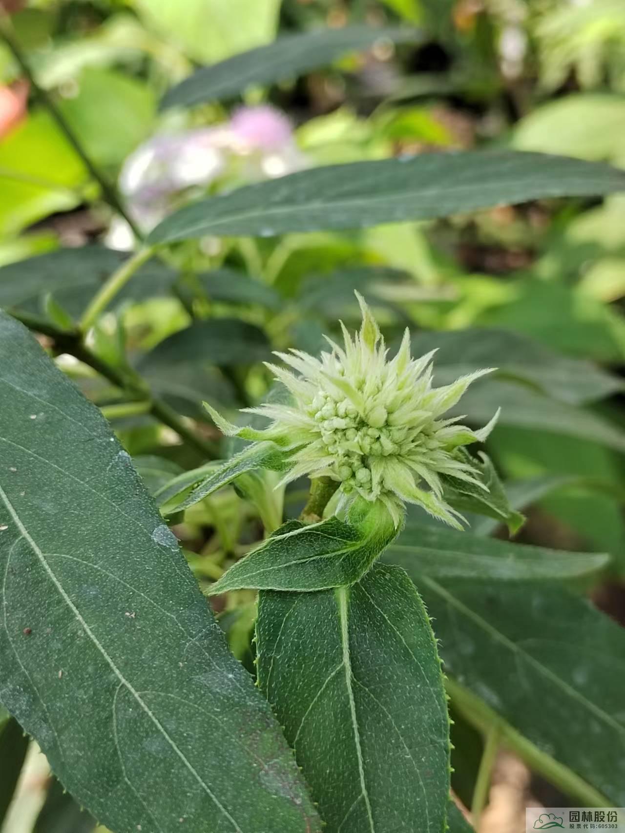 彩运网(中国游)官方网站