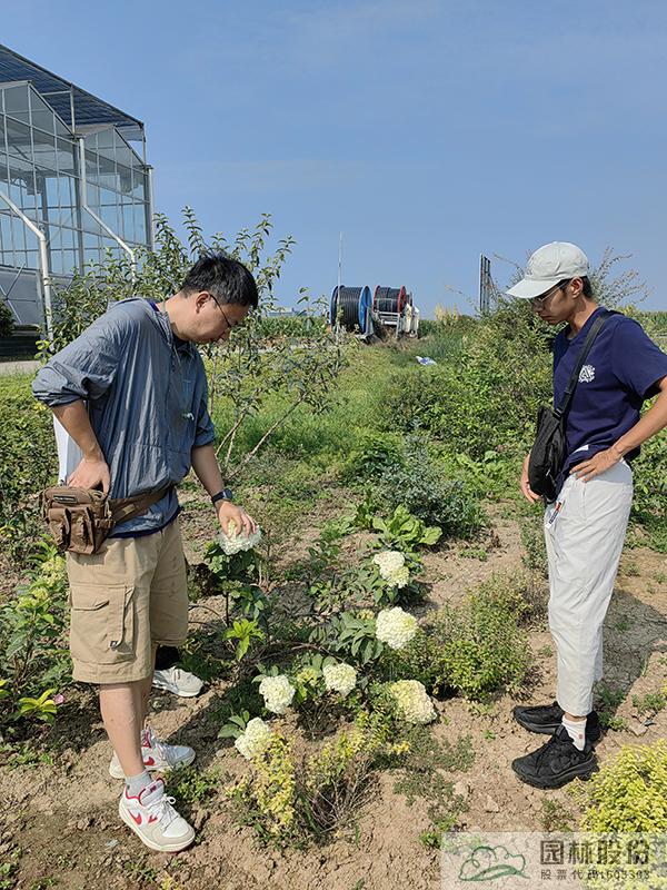 彩运网(中国游)官方网站