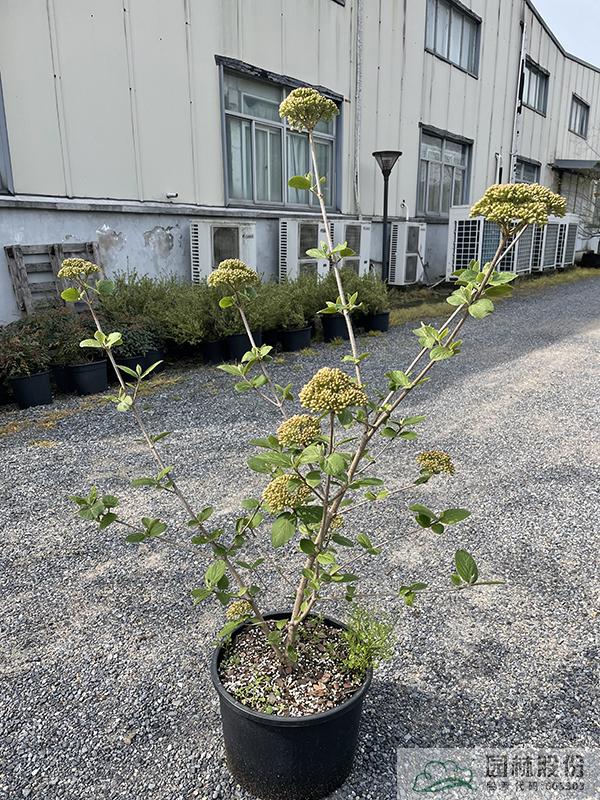 彩运网(中国游)官方网站