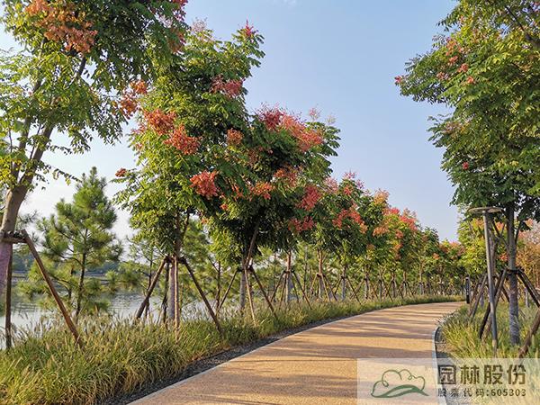 彩运网(中国游)官方网站