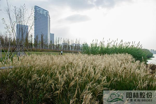 彩运网(中国游)官方网站