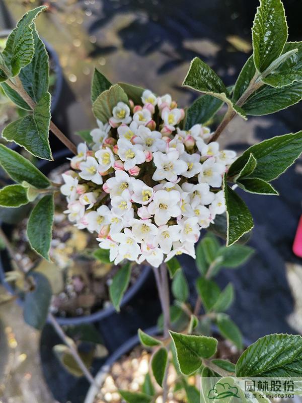 彩运网(中国游)官方网站