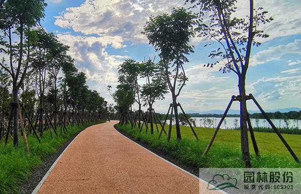 彩运网(中国游)官方网站