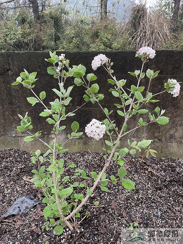 彩运网(中国游)官方网站