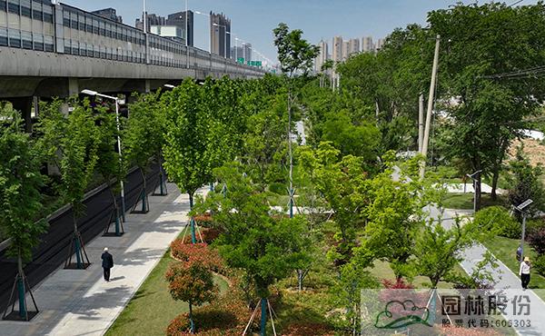 彩运网(中国游)官方网站