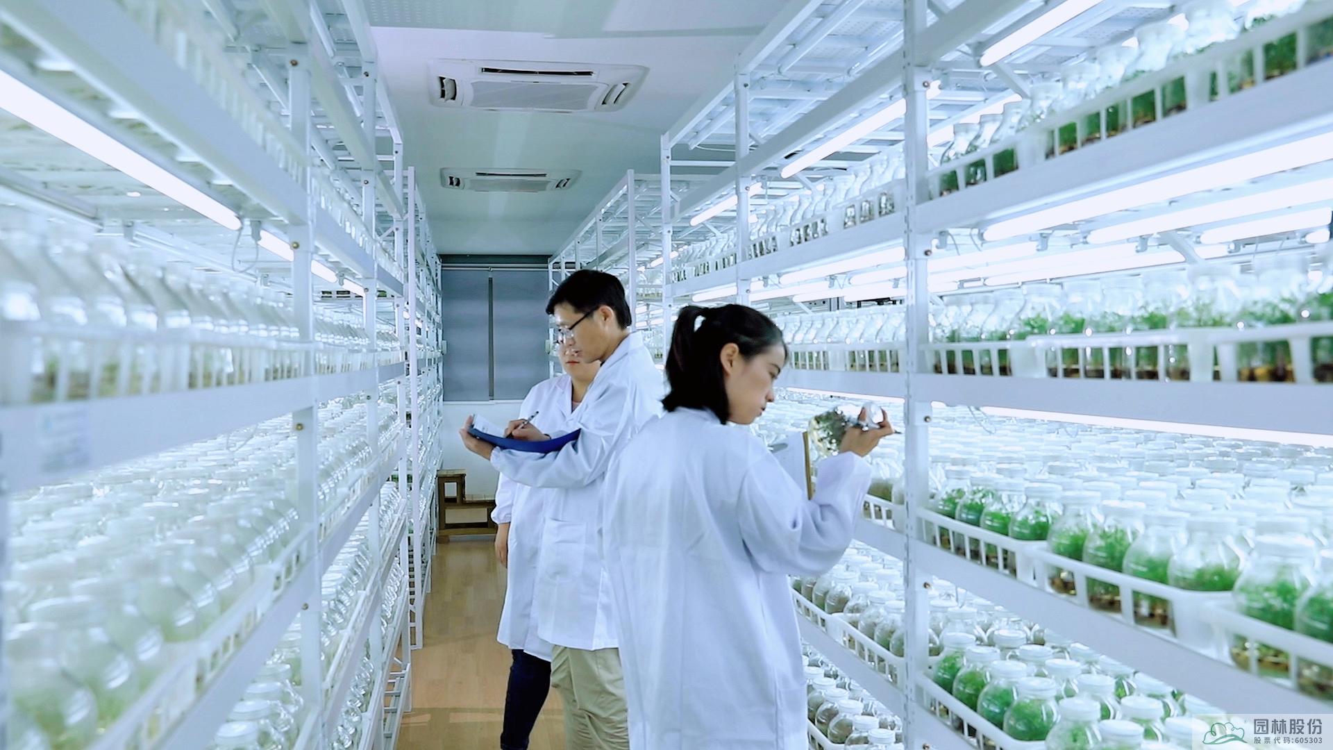 彩运网(中国游)官方网站