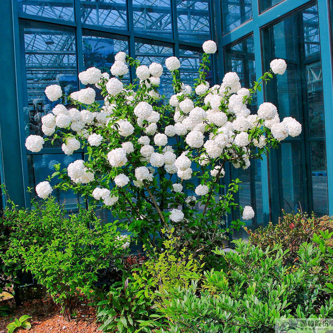 彩运网(中国游)官方网站