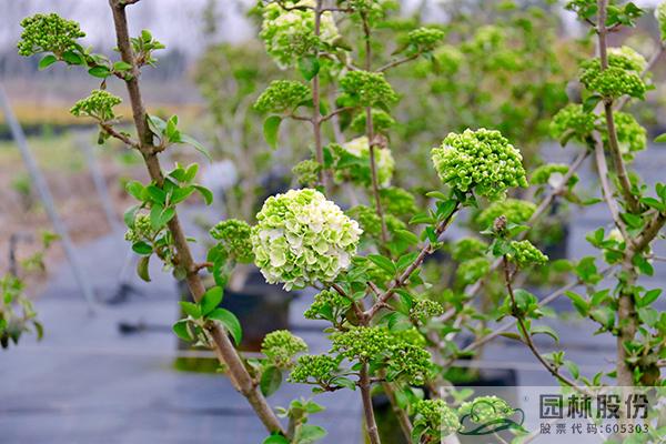 彩运网(中国游)官方网站