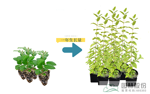 彩运网(中国游)官方网站
