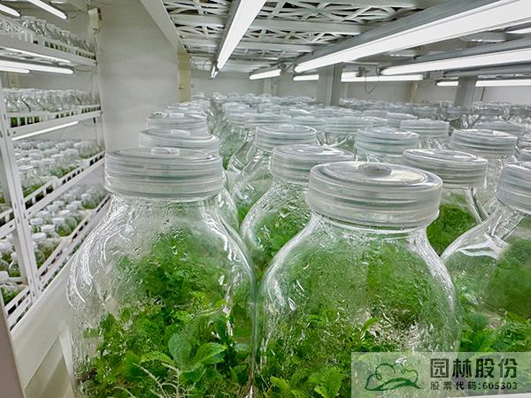 彩运网(中国游)官方网站