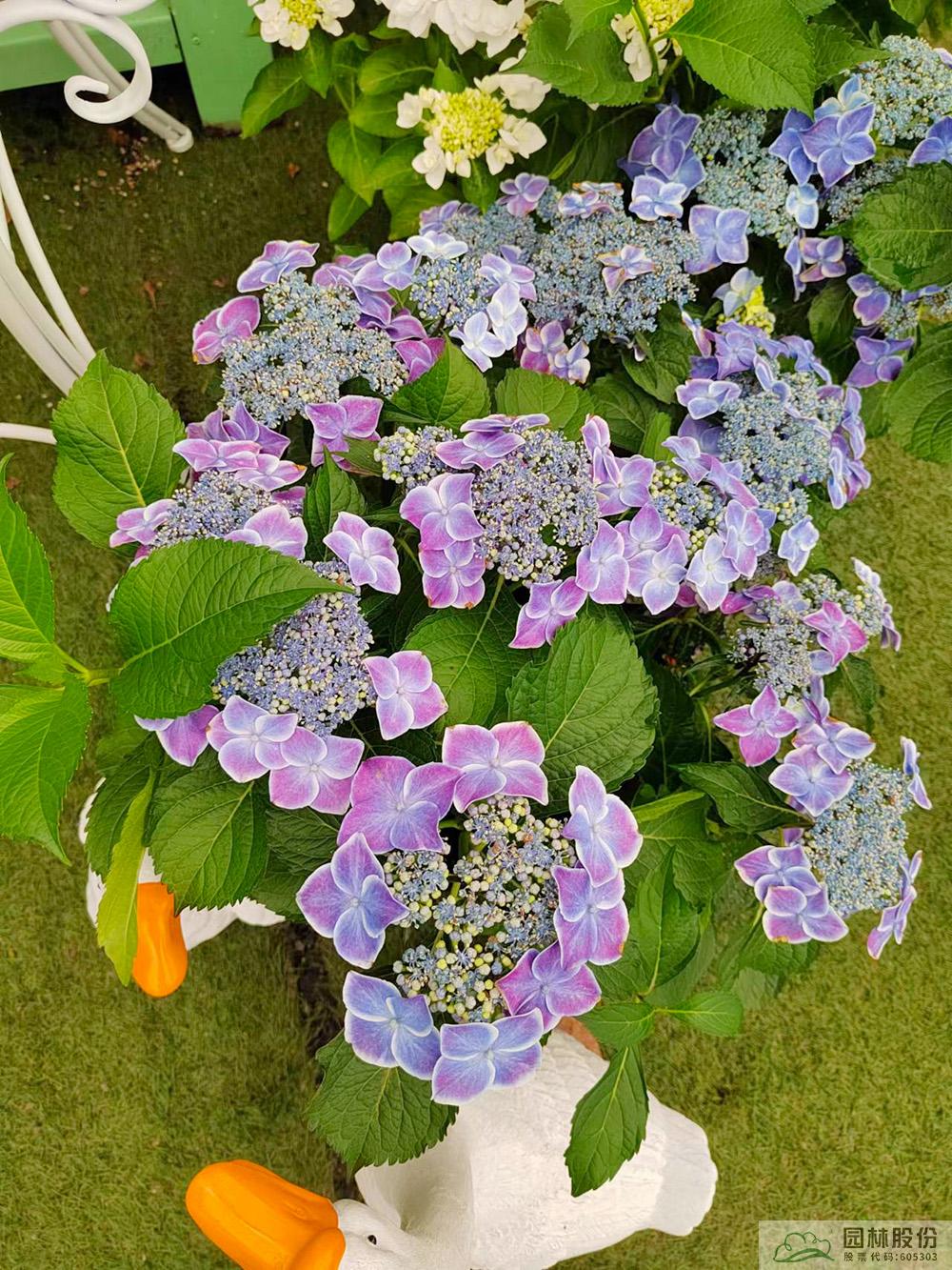 彩运网(中国游)官方网站