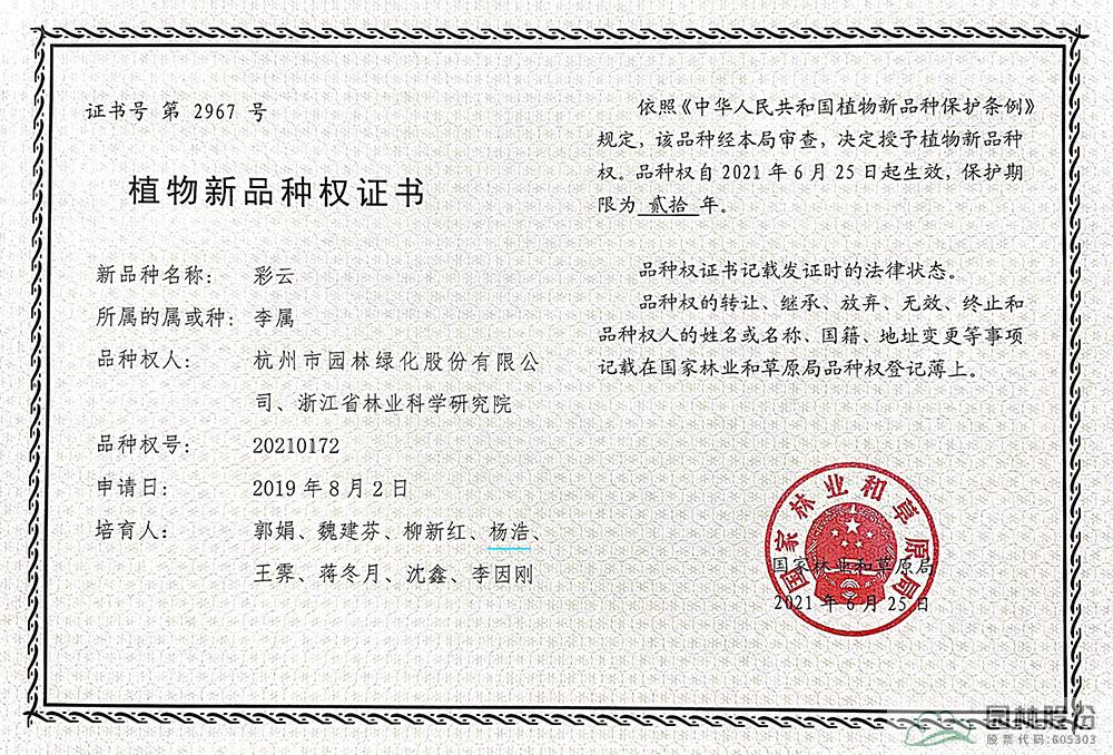 彩运网(中国游)官方网站