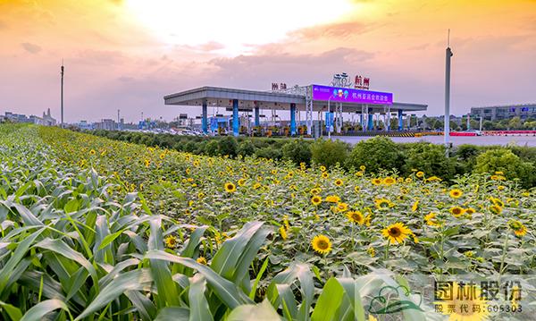 彩运网(中国游)官方网站