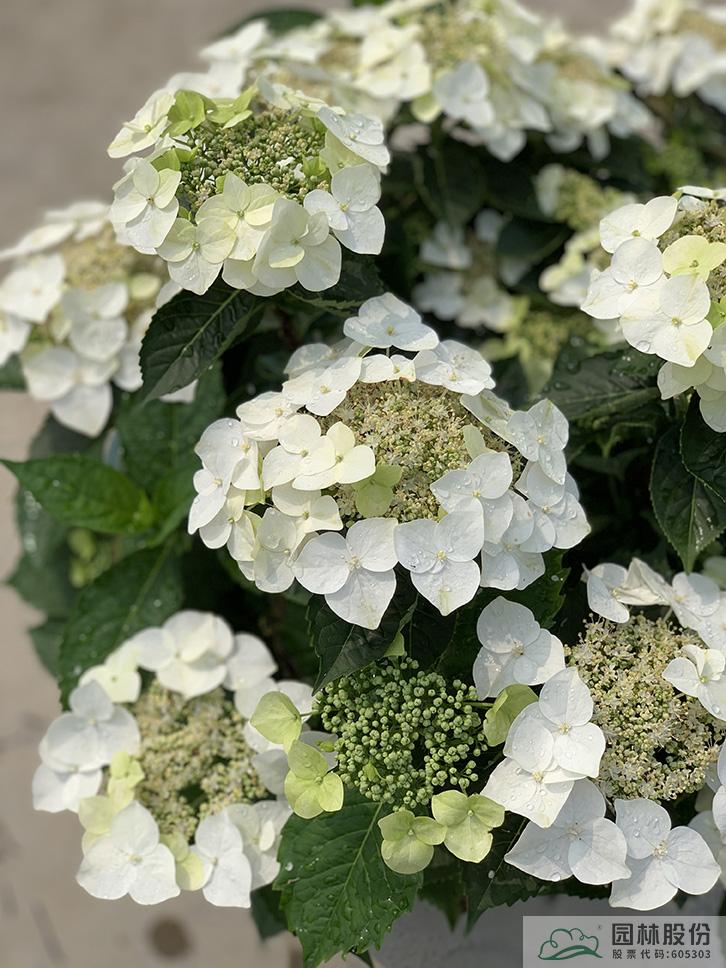 彩运网(中国游)官方网站