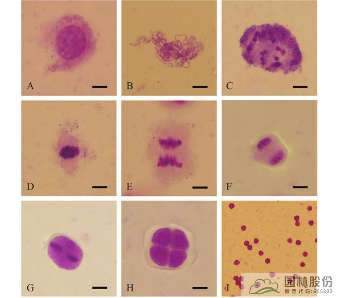 彩运网(中国游)官方网站