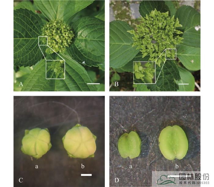 彩运网(中国游)官方网站