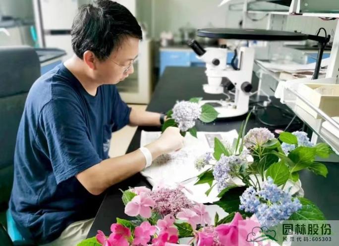 彩运网(中国游)官方网站