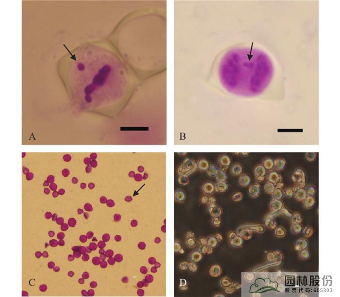 彩运网(中国游)官方网站