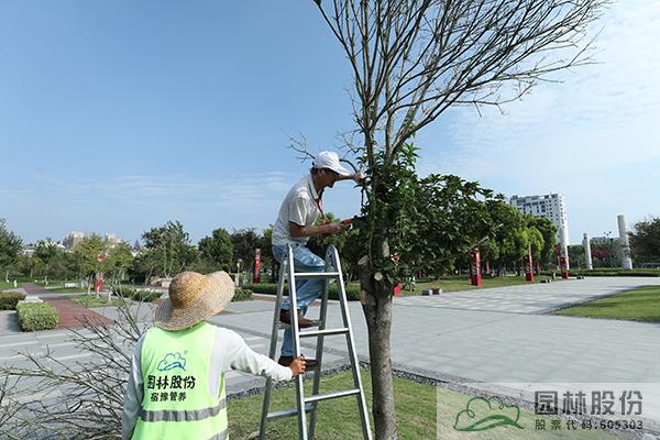 彩运网(中国游)官方网站