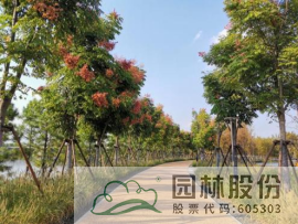 彩运网(中国游)官方网站