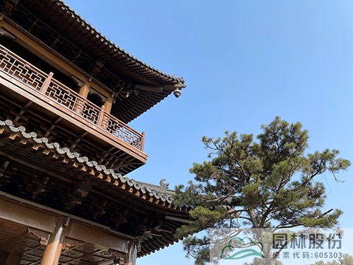 彩运网(中国游)官方网站