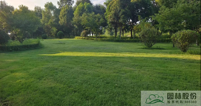 彩运网(中国游)官方网站