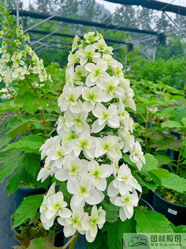 彩运网(中国游)官方网站